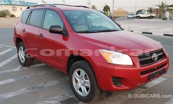 Buy Import Toyota RAV4 Red Car in Import - Dubai in Dhufar Buy Import Toyota RAV4 Red Car in Import - Dubai in Dhufar