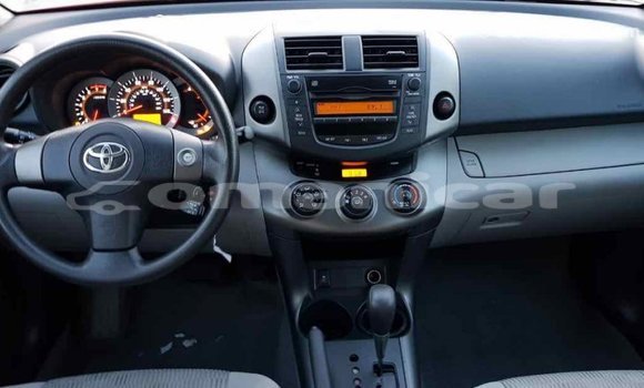 Buy Import Toyota RAV4 Red Car in Import - Dubai in Dhufar Buy Import Toyota RAV4 Red Car in Import - Dubai in Dhufar