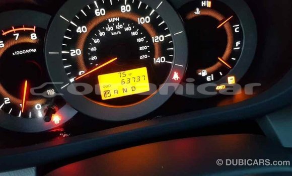 Buy Import Toyota RAV4 Red Car in Import - Dubai in Dhufar Buy Import Toyota RAV4 Red Car in Import - Dubai in Dhufar