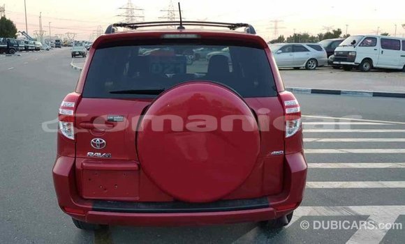 Buy Import Toyota RAV4 Red Car in Import - Dubai in Dhufar Buy Import Toyota RAV4 Red Car in Import - Dubai in Dhufar