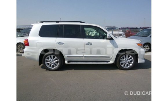 Buy Import Toyota Land Cruiser White Car in Import - Dubai in Dhufar Buy Import Toyota Land Cruiser White Car in Import - Dubai in Dhufar