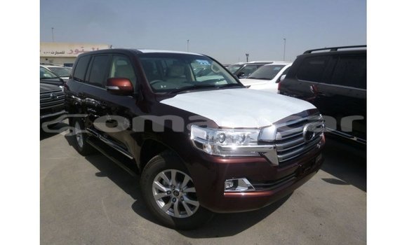 Buy Import Toyota Land Cruiser Other Car in Import - Dubai in Dhufar Buy Import Toyota Land Cruiser Other Car in Import - Dubai in Dhufar