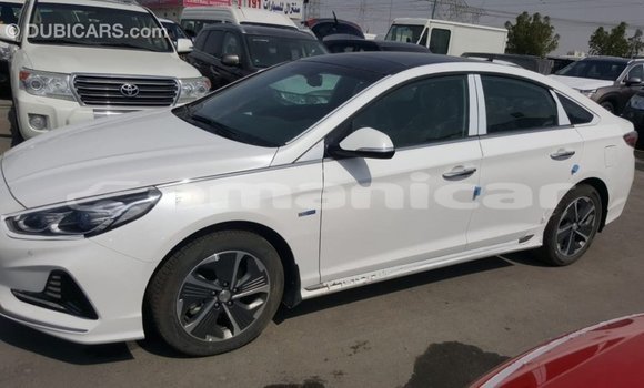 Buy Import Hyundai Sonata White Car in Import - Dubai in Dhufar Buy Import Hyundai Sonata White Car in Import - Dubai in Dhufar