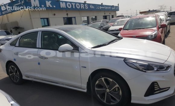 Buy Import Hyundai Sonata White Car in Import - Dubai in Dhufar Buy Import Hyundai Sonata White Car in Import - Dubai in Dhufar