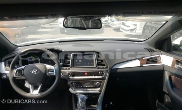 Buy Import Hyundai Sonata White Car in Import - Dubai in Dhufar Buy Import Hyundai Sonata White Car in Import - Dubai in Dhufar