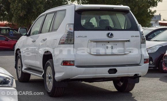 Buy Import Lexus GX White Car in Import - Dubai in Dhufar Buy Import Lexus GX White Car in Import - Dubai in Dhufar