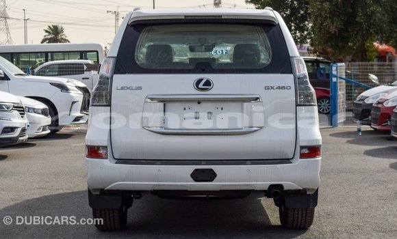 Buy Import Lexus GX White Car in Import - Dubai in Dhufar Buy Import Lexus GX White Car in Import - Dubai in Dhufar