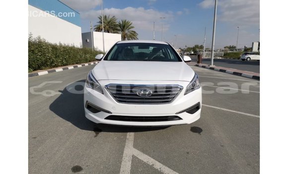 Buy Import Hyundai Sonata White Car in Import - Dubai in Dhufar Buy Import Hyundai Sonata White Car in Import - Dubai in Dhufar