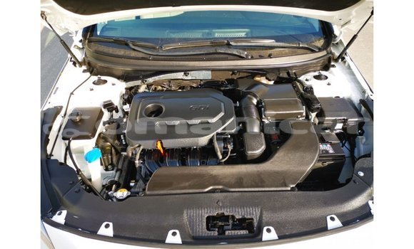 Buy Import Hyundai Sonata White Car in Import - Dubai in Dhufar Buy Import Hyundai Sonata White Car in Import - Dubai in Dhufar