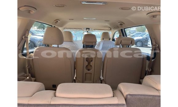 Buy Import Kia Carnival White Car in Import - Dubai in Dhufar Buy Import Kia Carnival White Car in Import - Dubai in Dhufar