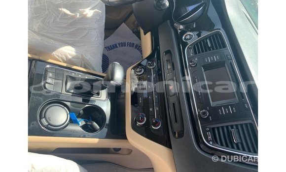 Buy Import Kia Carnival White Car in Import - Dubai in Dhufar Buy Import Kia Carnival White Car in Import - Dubai in Dhufar