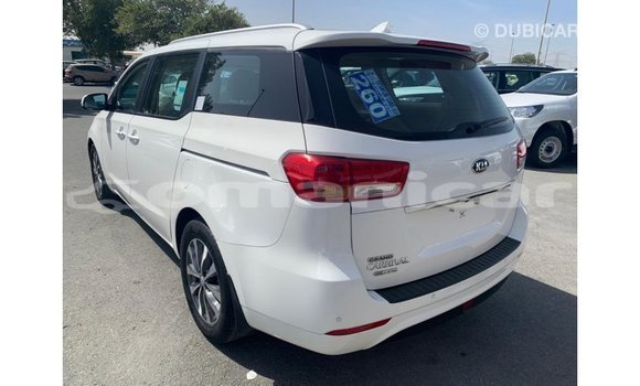 Buy Import Kia Carnival White Car in Import - Dubai in Dhufar Buy Import Kia Carnival White Car in Import - Dubai in Dhufar