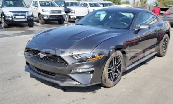 Buy Import Ford Mustang Other Car in Import - Dubai in Dhufar Buy Import Ford Mustang Other Car in Import - Dubai in Dhufar