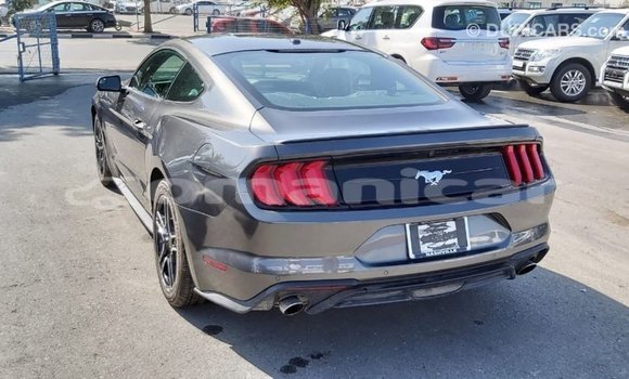 Buy Import Ford Mustang Other Car in Import - Dubai in Dhufar Buy Import Ford Mustang Other Car in Import - Dubai in Dhufar