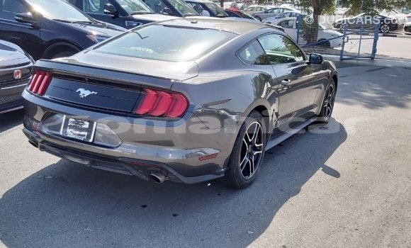 Buy Import Ford Mustang Other Car in Import - Dubai in Dhufar Buy Import Ford Mustang Other Car in Import - Dubai in Dhufar