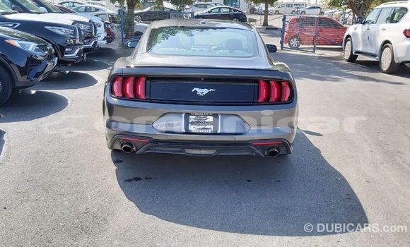 Buy Import Ford Mustang Other Car in Import - Dubai in Dhufar Buy Import Ford Mustang Other Car in Import - Dubai in Dhufar