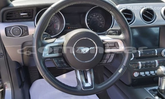 Buy Import Ford Mustang Other Car in Import - Dubai in Dhufar Buy Import Ford Mustang Other Car in Import - Dubai in Dhufar
