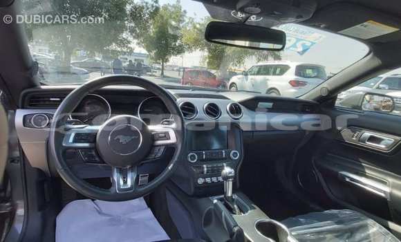 Buy Import Ford Mustang Other Car in Import - Dubai in Dhufar Buy Import Ford Mustang Other Car in Import - Dubai in Dhufar