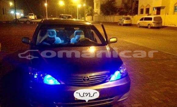 Buy Used Toyota Camry Brown Car in Muscat in Masqat Buy Used Toyota Camry Brown Car in Muscat in Masqat
