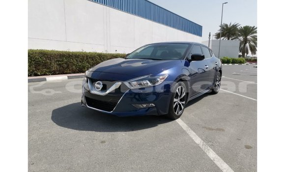 Buy Import Nissan Maxima Blue Car in Import - Dubai in Dhufar Buy Import Nissan Maxima Blue Car in Import - Dubai in Dhufar