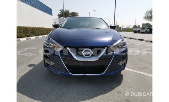 Buy Import Nissan Maxima Blue Car in Import - Dubai in Dhufar Buy Import Nissan Maxima Blue Car in Import - Dubai in Dhufar