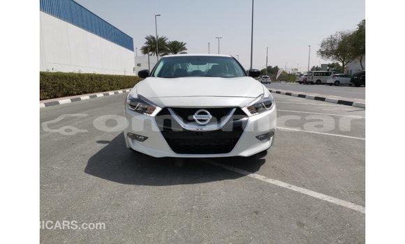 Buy Import Nissan Maxima White Car in Import - Dubai in Dhufar Buy Import Nissan Maxima White Car in Import - Dubai in Dhufar