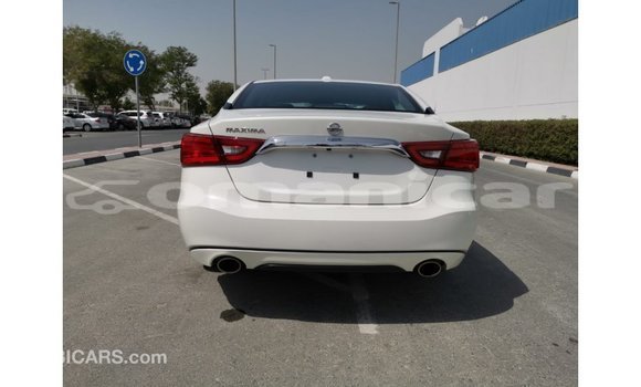 Buy Import Nissan Maxima White Car in Import - Dubai in Dhufar Buy Import Nissan Maxima White Car in Import - Dubai in Dhufar