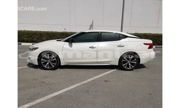 Buy Import Nissan Maxima White Car in Import - Dubai in Dhufar Buy Import Nissan Maxima White Car in Import - Dubai in Dhufar