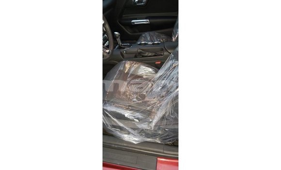 Buy Import Ford Mustang Red Car in Import - Dubai in Dhufar Buy Import Ford Mustang Red Car in Import - Dubai in Dhufar