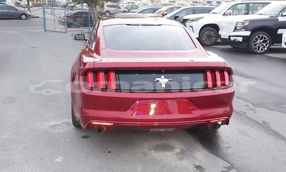 Buy Import Ford Mustang Red Car in Import - Dubai in Dhufar Buy Import Ford Mustang Red Car in Import - Dubai in Dhufar