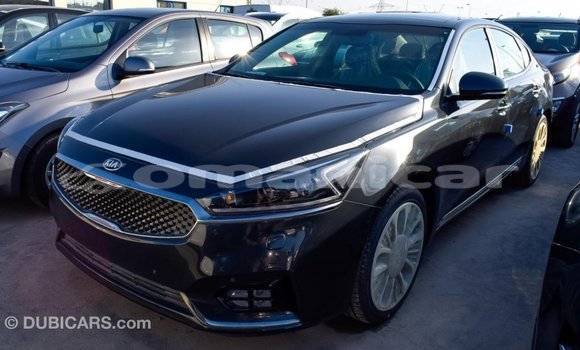 Buy Import Kia Cadenza Other Car in Import - Dubai in Dhufar Buy Import Kia Cadenza Other Car in Import - Dubai in Dhufar