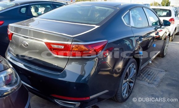 Buy Import Kia Cadenza Other Car in Import - Dubai in Dhufar Buy Import Kia Cadenza Other Car in Import - Dubai in Dhufar
