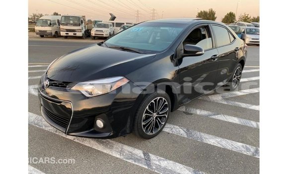Buy Import Toyota Corolla Black Car in Import - Dubai in Dhufar Buy Import Toyota Corolla Black Car in Import - Dubai in Dhufar