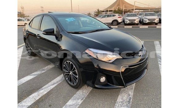 Buy Import Toyota Corolla Black Car in Import - Dubai in Dhufar Buy Import Toyota Corolla Black Car in Import - Dubai in Dhufar