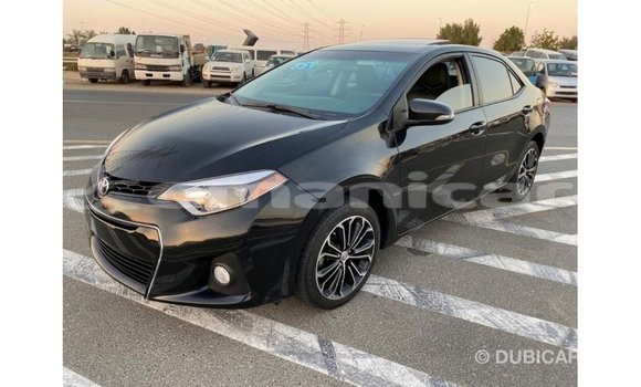 Buy Import Toyota Corolla Black Car in Import - Dubai in Dhufar Buy Import Toyota Corolla Black Car in Import - Dubai in Dhufar