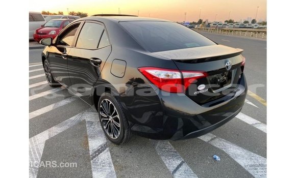 Buy Import Toyota Corolla Black Car in Import - Dubai in Dhufar Buy Import Toyota Corolla Black Car in Import - Dubai in Dhufar