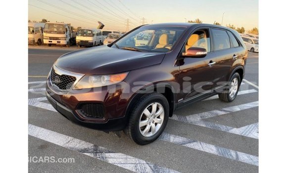 Buy Import Kia Sorento Brown Car in Import - Dubai in Dhufar Buy Import Kia Sorento Brown Car in Import - Dubai in Dhufar