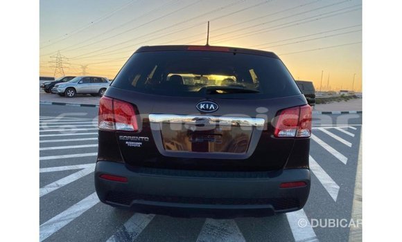 Buy Import Kia Sorento Brown Car in Import - Dubai in Dhufar Buy Import Kia Sorento Brown Car in Import - Dubai in Dhufar