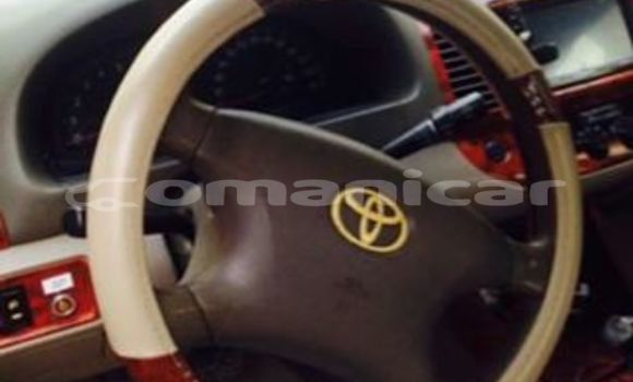 Buy Used Toyota Camry Brown Car in Muscat in Masqat Buy Used Toyota Camry Brown Car in Muscat in Masqat