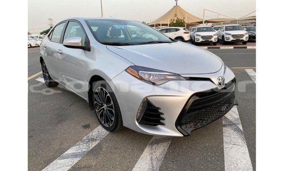 Buy Import Toyota Corolla Other Car in Import - Dubai in Dhufar Buy Import Toyota Corolla Other Car in Import - Dubai in Dhufar