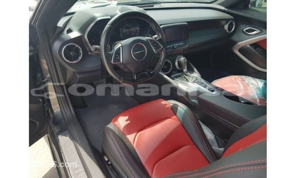 Buy Import Chevrolet Camaro Other Car in Import - Dubai in Dhufar Buy Import Chevrolet Camaro Other Car in Import - Dubai in Dhufar