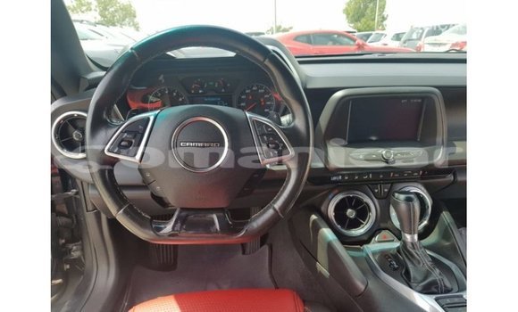 Buy Import Chevrolet Camaro Other Car in Import - Dubai in Dhufar Buy Import Chevrolet Camaro Other Car in Import - Dubai in Dhufar
