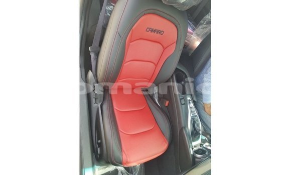 Buy Import Chevrolet Camaro Other Car in Import - Dubai in Dhufar Buy Import Chevrolet Camaro Other Car in Import - Dubai in Dhufar