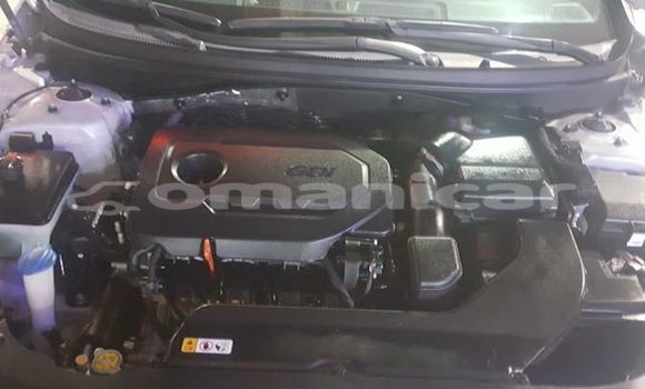 Buy Used Hyundai Sonata Silver Car in Muscat in Masqat Buy Used Hyundai Sonata Silver Car in Muscat in Masqat