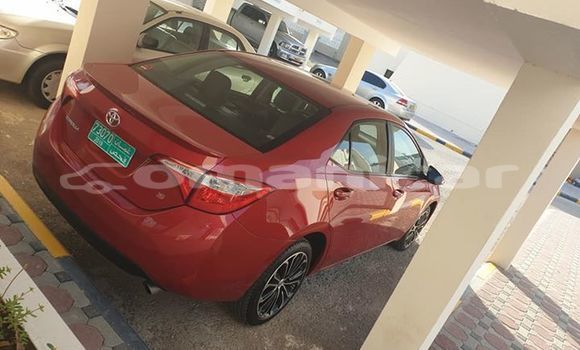 Buy Used Toyota Corolla Red Car in Masqat in Masqat Buy Used Toyota Corolla Red Car in Masqat in Masqat