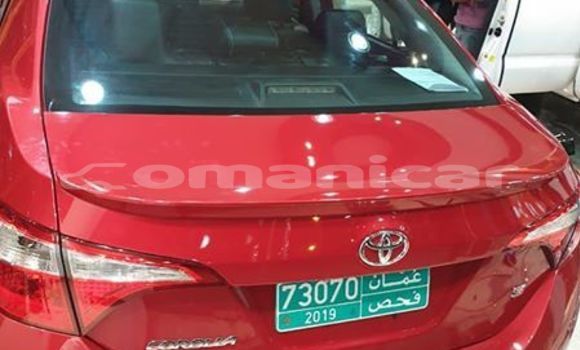 Buy Used Toyota Corolla Red Car in Masqat in Masqat Buy Used Toyota Corolla Red Car in Masqat in Masqat