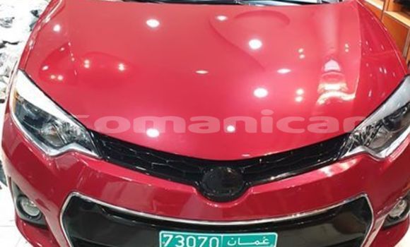 Buy Used Toyota Corolla Red Car in Masqat in Masqat Buy Used Toyota Corolla Red Car in Masqat in Masqat