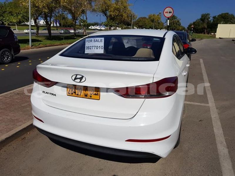 Big with watermark 53417926 1137489609755271 9075601878854664192 n