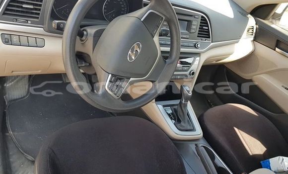 Buy Used Hyundai Elantra White Car in Muscat in Masqat Buy Used Hyundai Elantra White Car in Muscat in Masqat