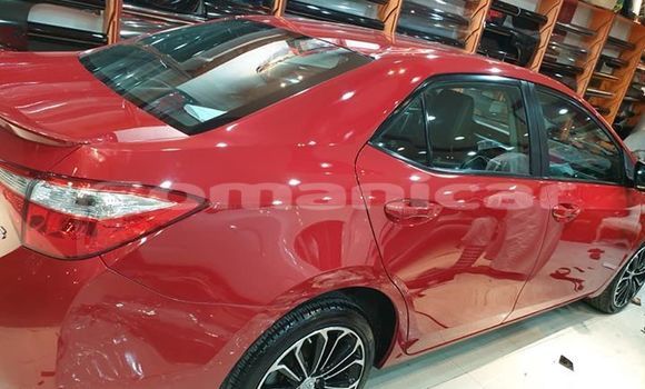 Buy Used Toyota Corolla Red Car in Masqat in Masqat Buy Used Toyota Corolla Red Car in Masqat in Masqat